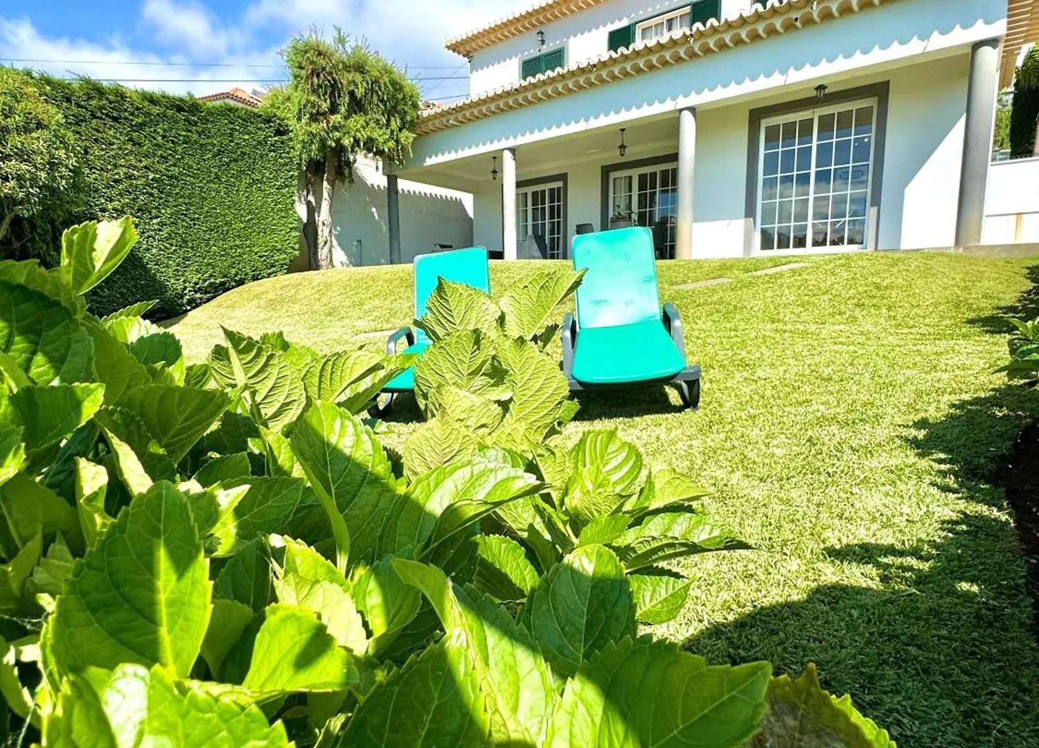 Casa Conduto Guest House Ponta do Sol  Portugal
